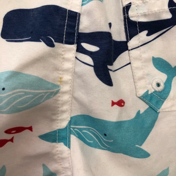 Janie and Jack Boys Toddler Whale Ocean Swim Trunks Shorts Size 12-18 M - Picture 4 of 5